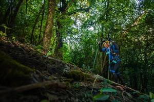 BIB: 
                            <button type="button" onclick="openModal(16015829)" class="btn btn-primary btn-sm float-right btn-popup" data-toggle="modal" data-target=".modal-high-quality">
                        <i class="fas fa-shopping-cart"></i> Add to Cart
                    </button>
                                            <button type="button" onclick="isThisMe(16015829, true)" class="btn btn-success btn-sm float-right btn-popup btn-isme hidden" data-toggle="tooltip" data-placement="bottom" title="นี่คือรูปของคุณใช่ไหม คลิกที่นี่เพื่อเอาเข้าอัลบั้ม">
                        <i class="fas fa-plus"></i> Add to album
                    </button>
                    <button type="button" onclick="isThisMe(16015829, false)" class="btn btn-warning btn-sm float-right btn-popup btn-isnotme hidden">
                        <i class="fas fa-ban"></i> Remove from album
                    </button>